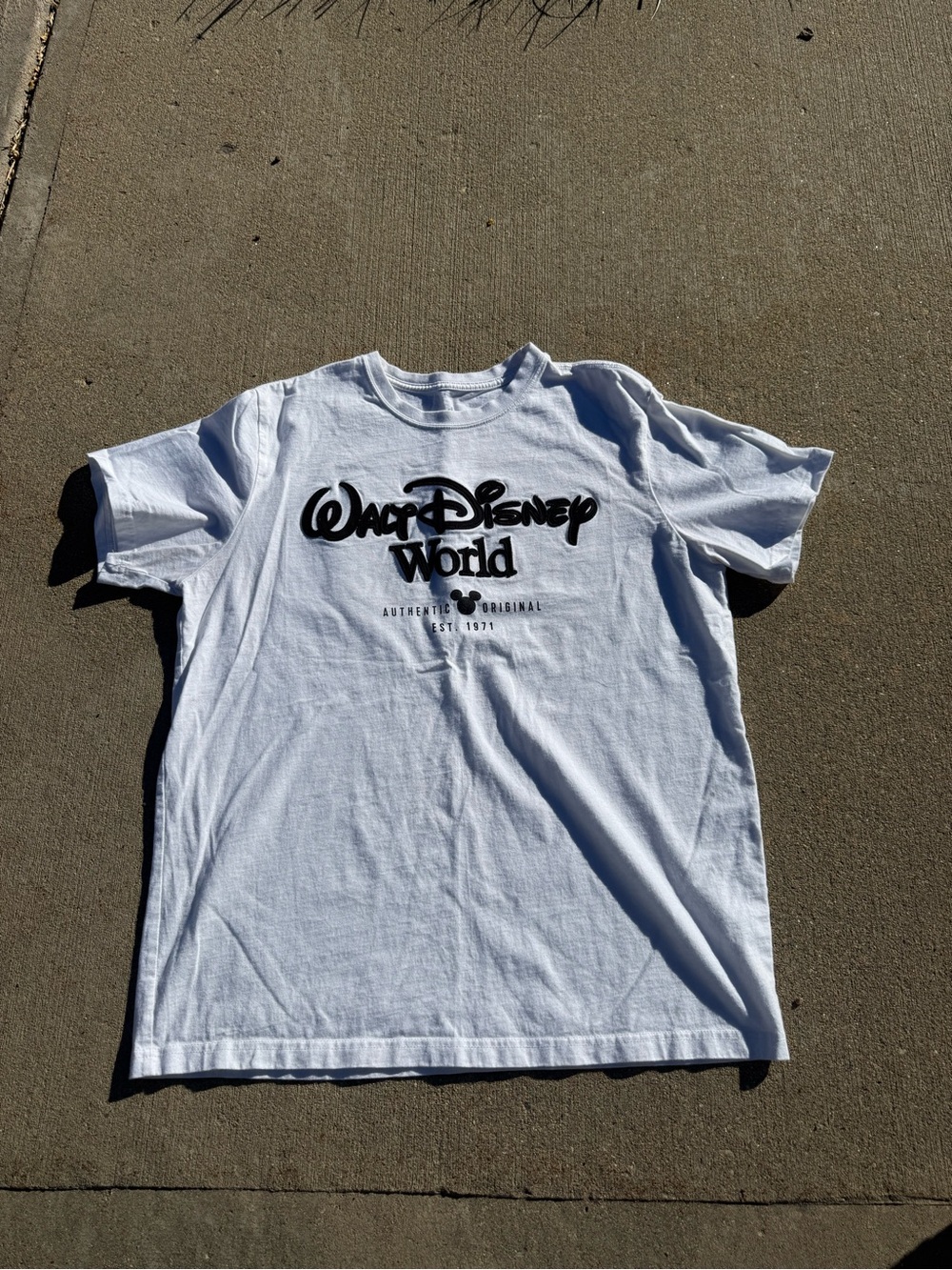 Men’s Disney World Shirt (size Large)